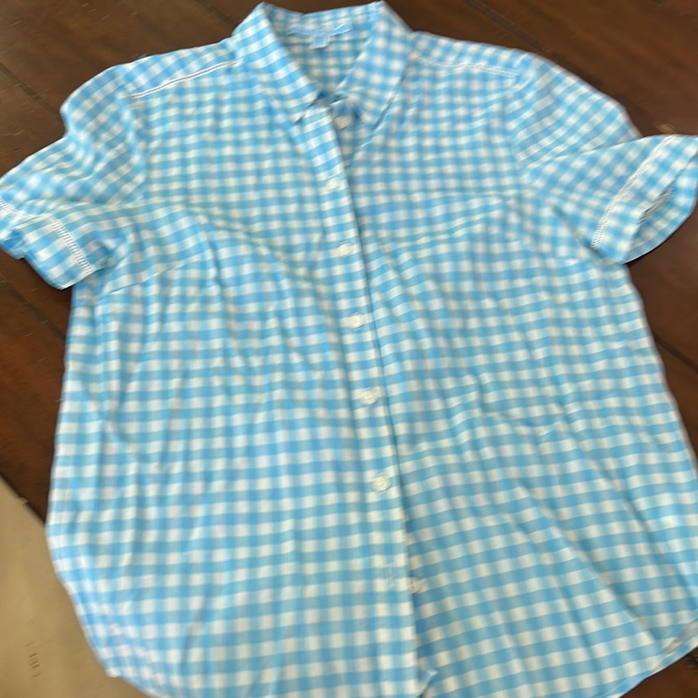 Blue gingham, Draper, James size 10 button-down shirt